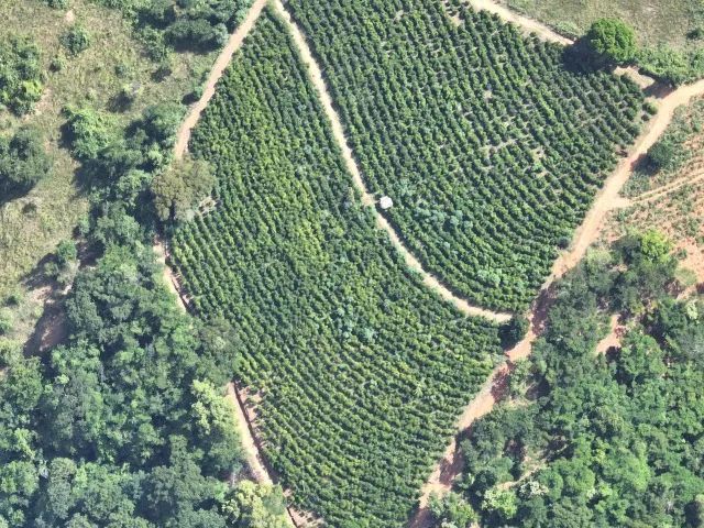 Sitio rural com 350.000 m2 - Foto 5