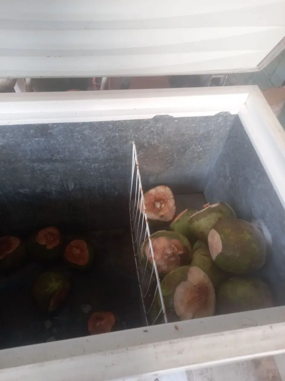 Freezer  - Foto 3
