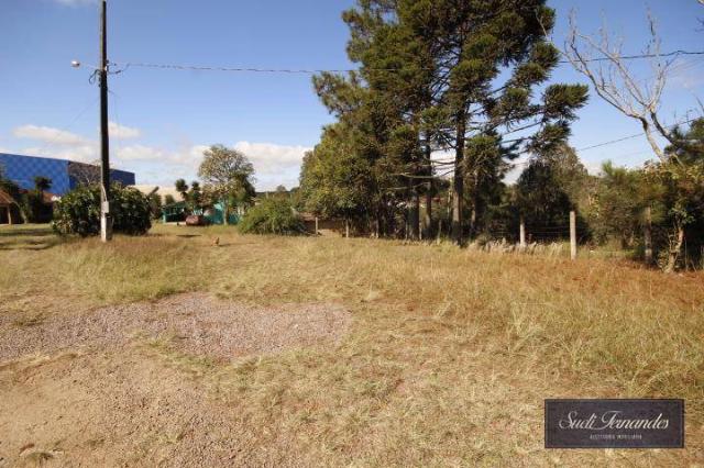 Área industrial à venda, Jurema, São José dos Pinhais. - Foto 3