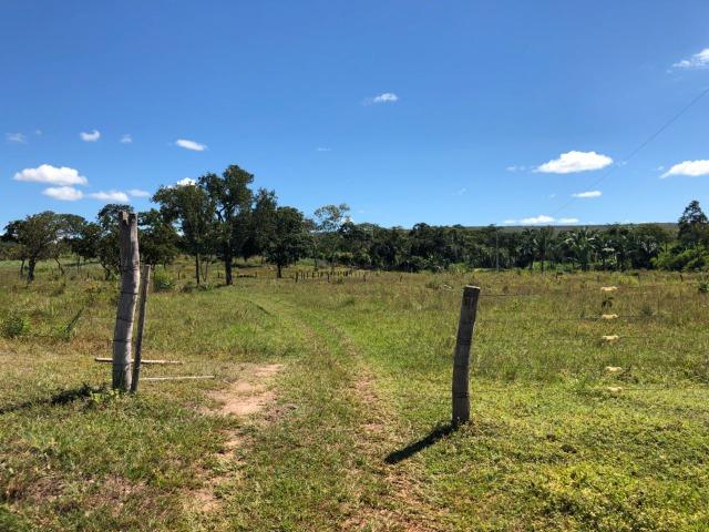 Chácara Km 8,5 depois de lajeado - Lajeado - TO - Foto 11