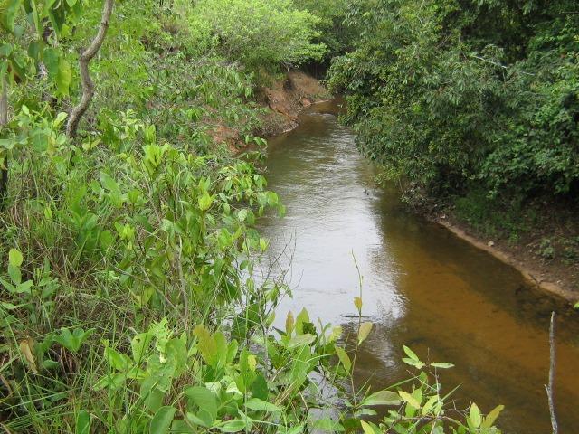 Almas-TO - Fazenda distante de Palmas 210 Km - Foto 4