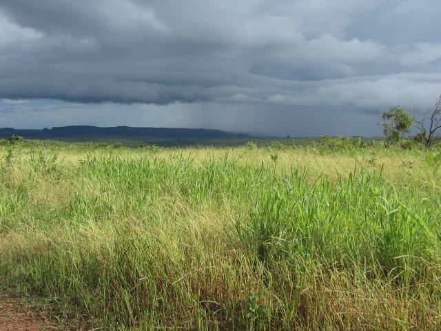 Almas-TO - Fazenda distante de Palmas 210 Km - Foto 18