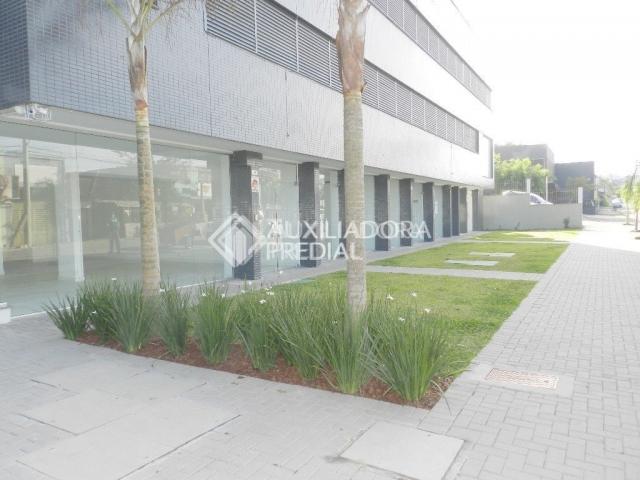 Loja comercial para alugar em Guarani, Novo hamburgo cod:301454 - Foto 2