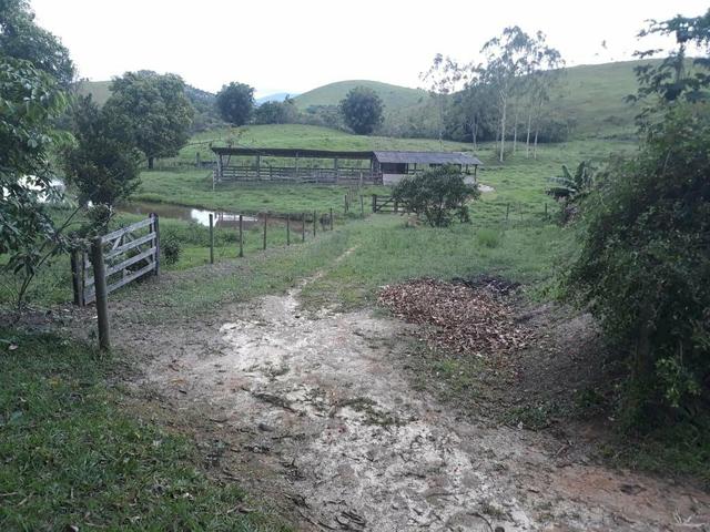Linda fazendinha em Cachoeiras de Macacu oportunidade!!!! - Foto 7