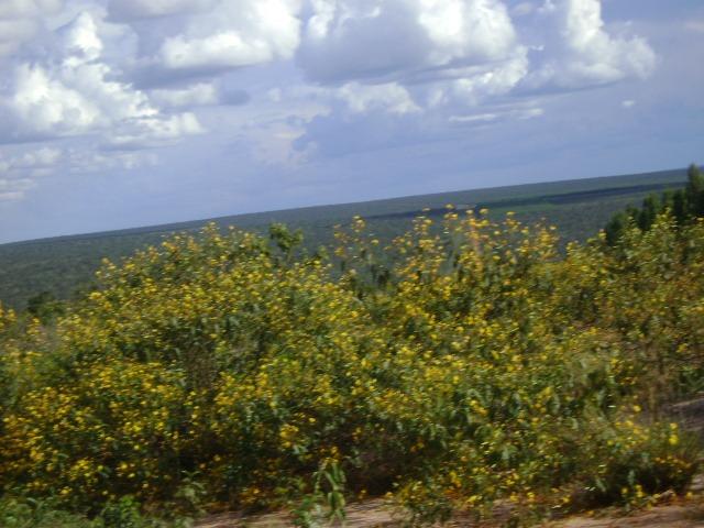 1750 Hectares, Troco Parte x Tangará, cerrado Reserva do Cabaçal- MT - Foto 3