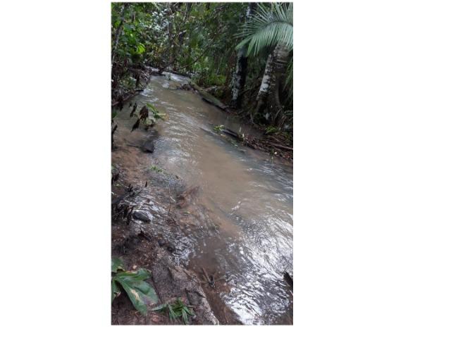 42 hectares, aceito camioneta, capão verde, terra preta,culturão, ocasião