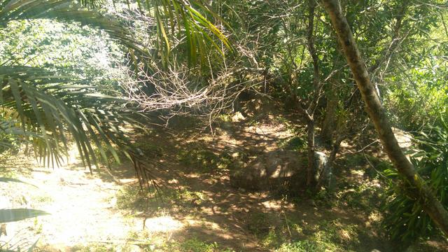 Terreno - Foto 2