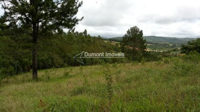 Maravilhosa área de 31.800m² totalmente aproveitáveis - Foto 8