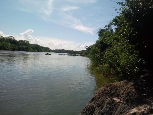 Chácara na Beira do Rio Cuiabá com 2 tanque para peixe e pasto em Acorizal - Foto 4