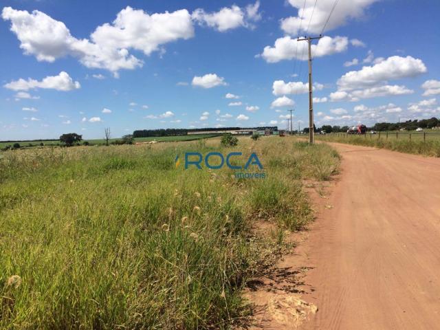 Rural - Não tem bairro - Foto 13
