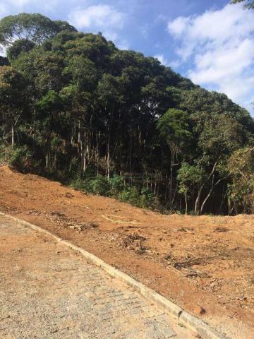 Terreno residencial à venda, Prata, Teresópolis. - Foto 7