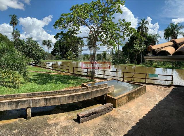 Venda ou Troca por Terra Maior,Chácara 8 alqueires e 25 litros - Bela Vista de Goiás - Foto 10