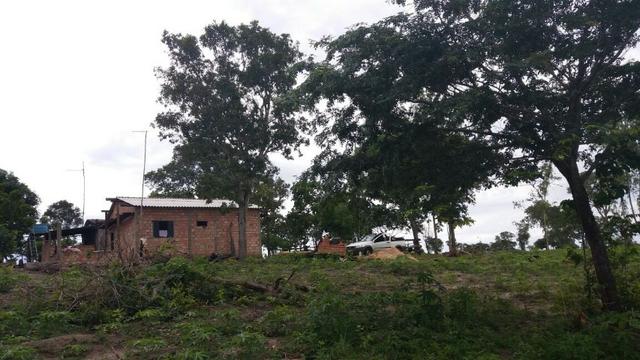 Oportunidade Fazenda 24 Alqueires ( 116 hectares ) Ribeirão Cascalheira-MT - Foto 4