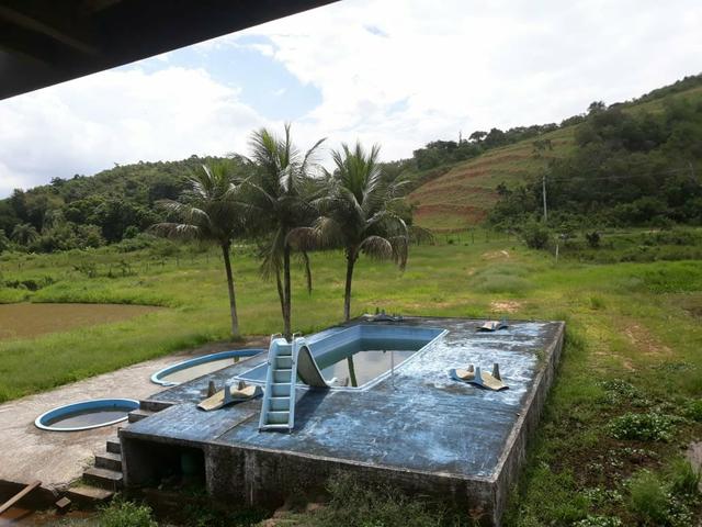 Lindo sítio em Mauá ( Guia de Pacobaíba) oportunidade!!! - Foto 3