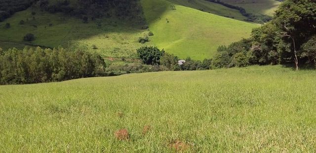Vendo Sitio em Pouso Alto - MG - Foto 8