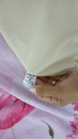 Saia
