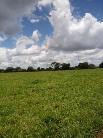 Fazenda a venda em Piracanjuba de 20 alqueires para Pecuária e lavoura - Foto 4