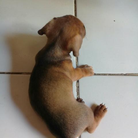 Vendo - Foto 5