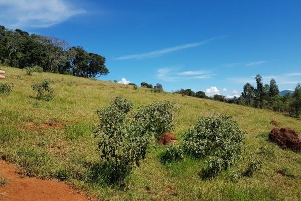 Vendo- Sítio no Sul de Minas com 26 hectares!! - Foto 8