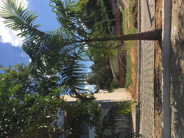 Lote, terreno - Foto 2