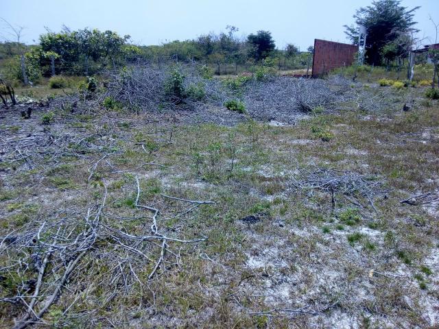 Vende-se terreno em Barreirinhas:MA - Foto 3