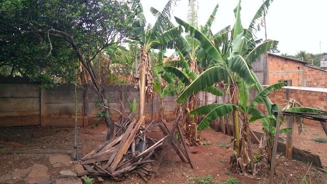 Vendo lote com casa no Setor Expansul - Foto 4