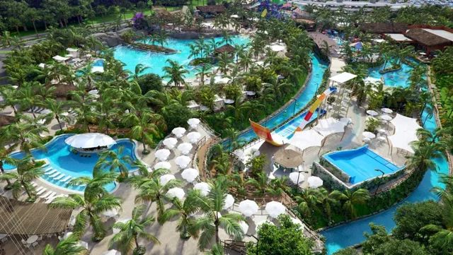 Título vitalício do Dream Park - Foto 4