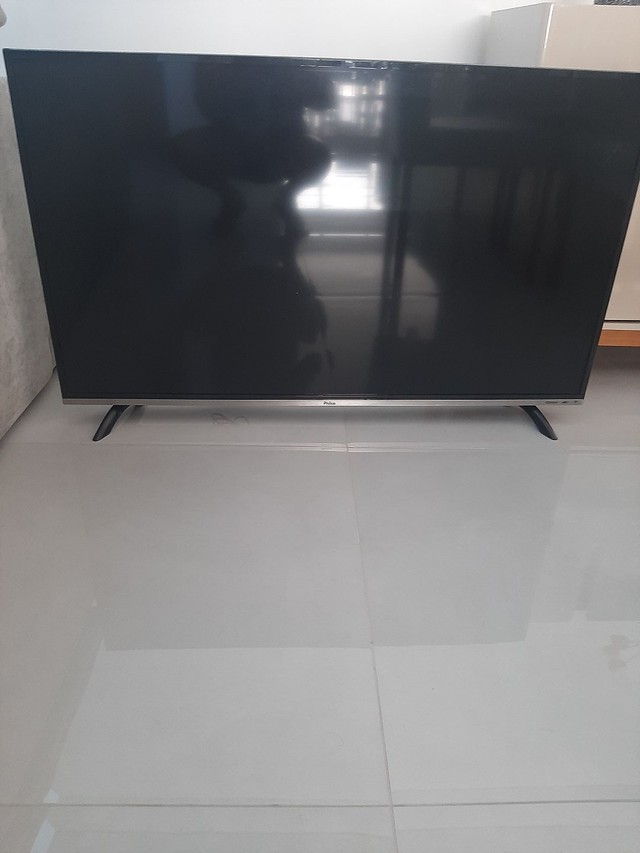 Tv philco 49 polegadas | +100 anúncios na OLX Brasil