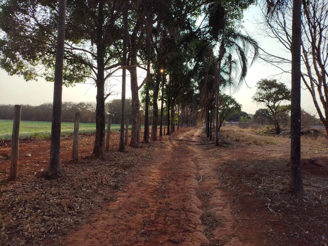 foto - Valparaíso de Goiás - Parque Marajó