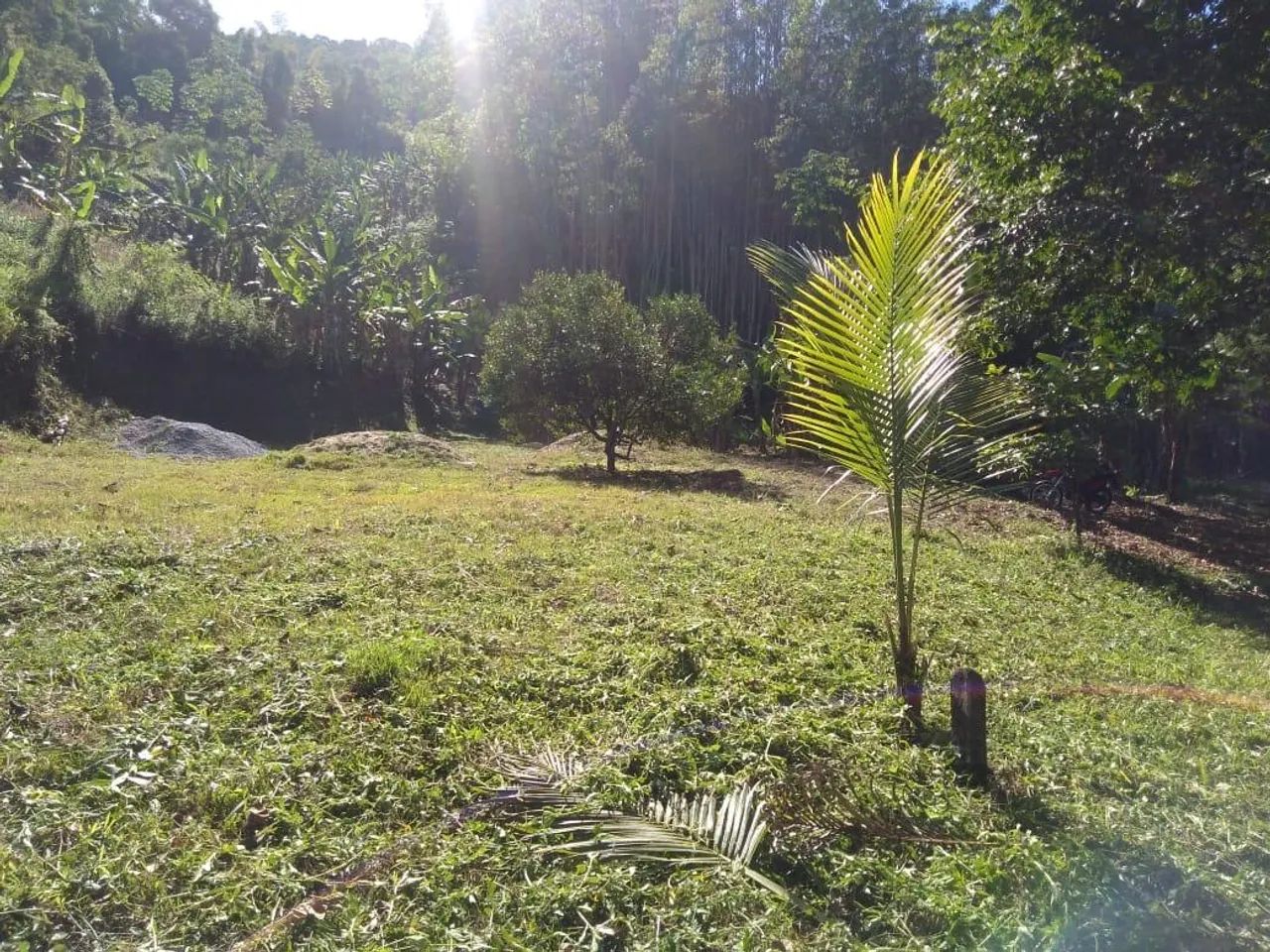 Vendo este terreno na, BARRA DO SANA, Boa Vista. - Foto 2