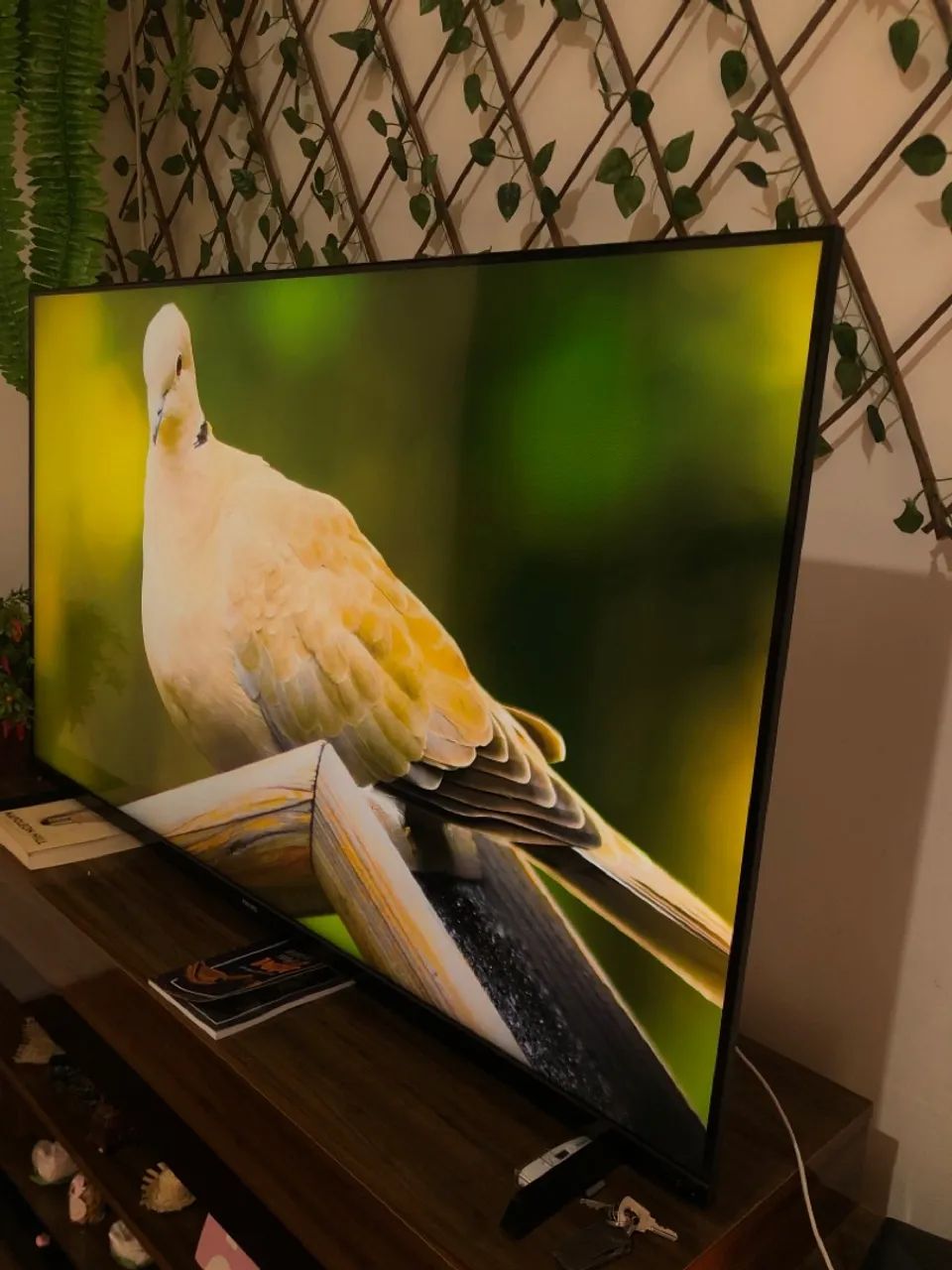 TV PHILIPS 50 POLEGADAS ULTRA HD 4K NOVA - Foto 2