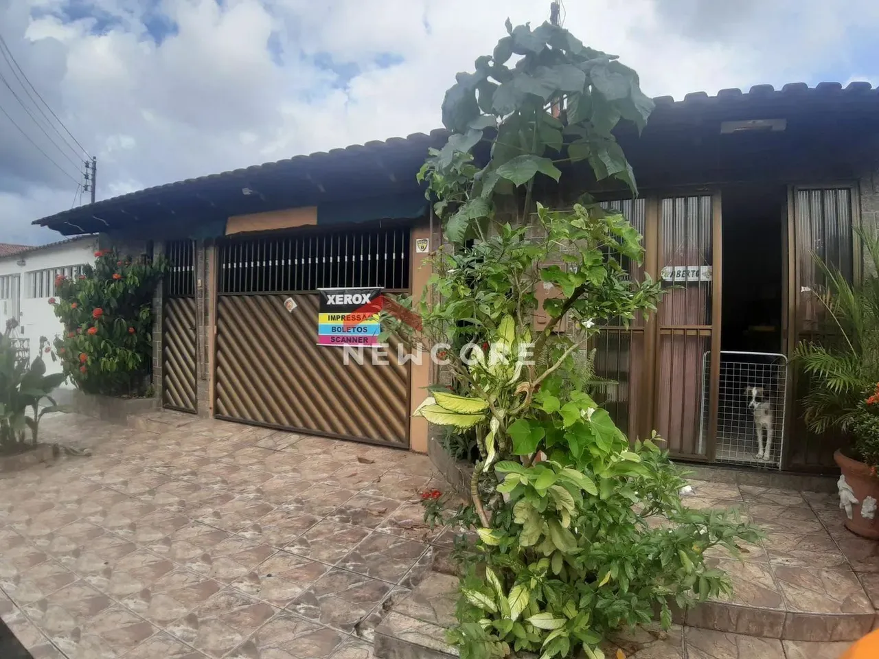 Casa em Rua Canaã - Novo Aleixo - Manaus/AM