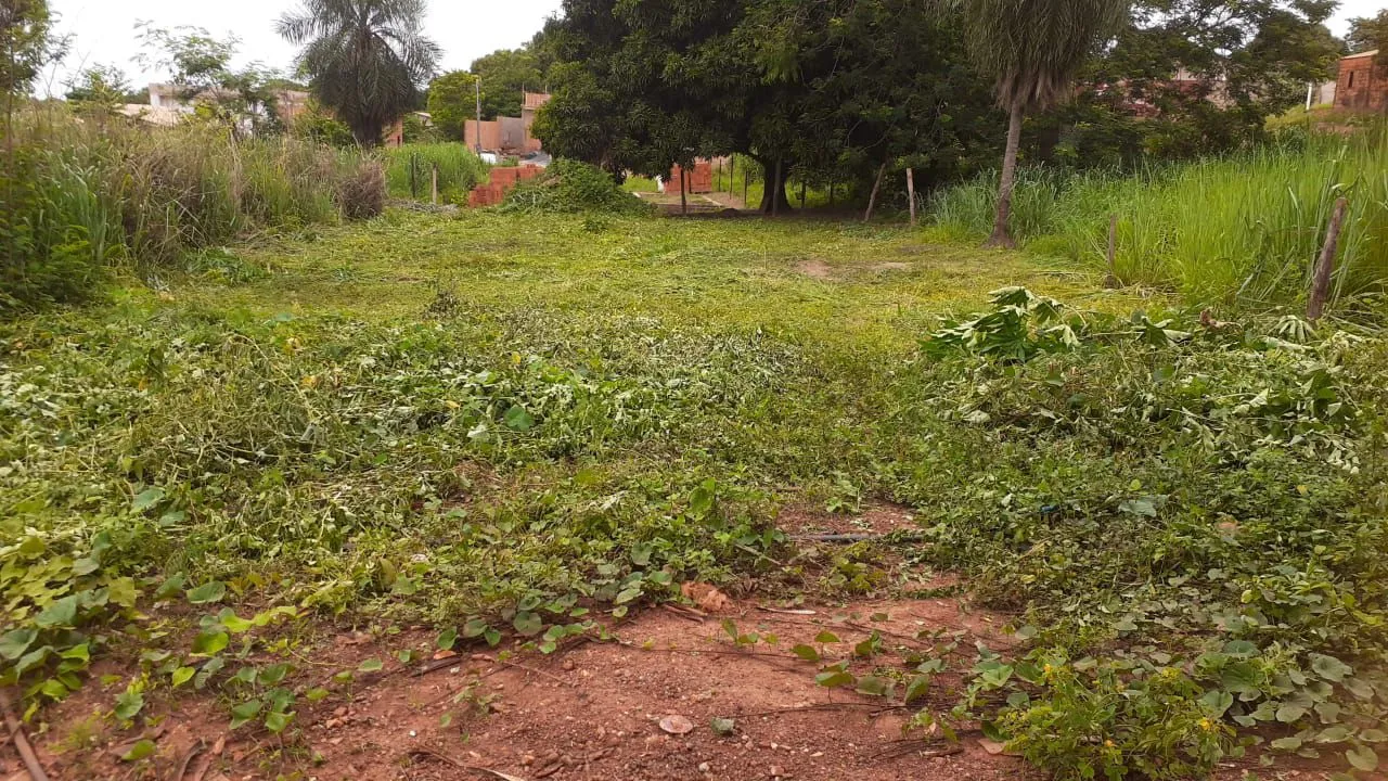Vendo terreno no Sao mateus