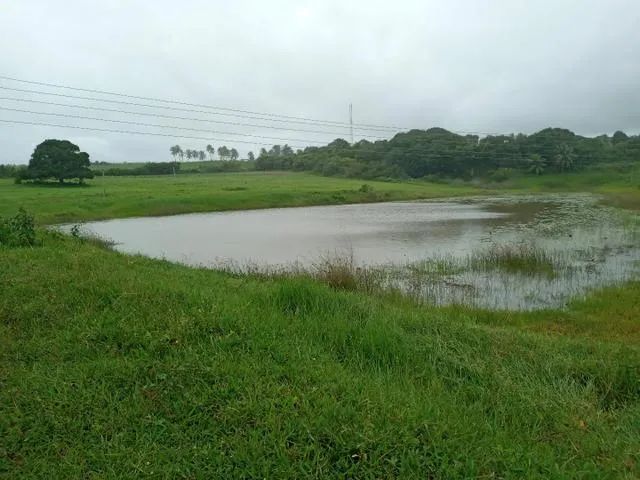 Excelente Granja com 11 hectares na região de Monte Alegre estruturada