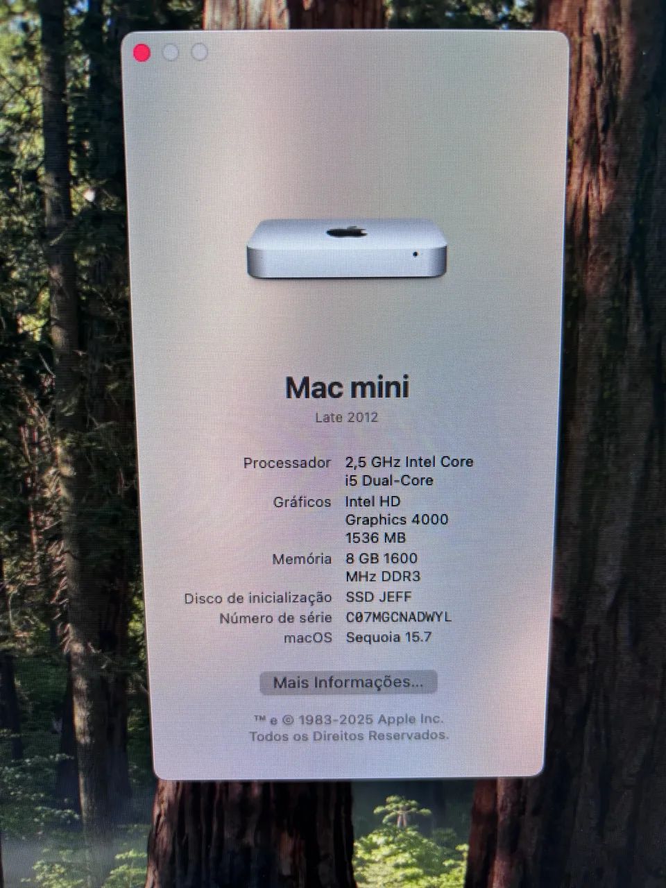 Mac Mini Late 201264166986915073121