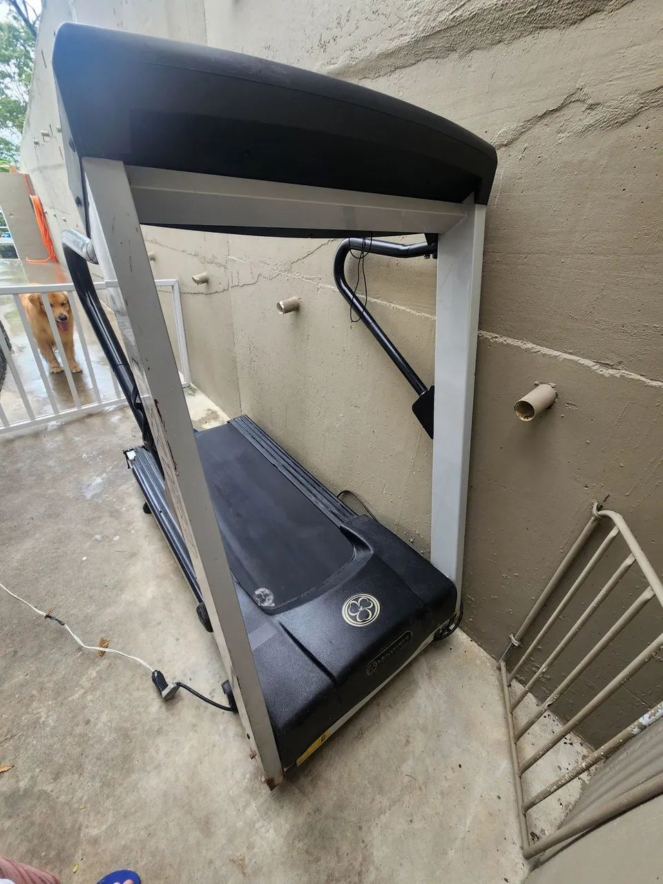 Esteira Movement LX 150 Profissional