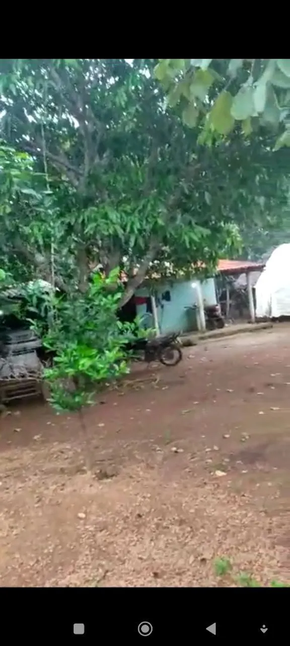 Vendo uma chácara no município de Araguacema Tocantins valor 190 mil *