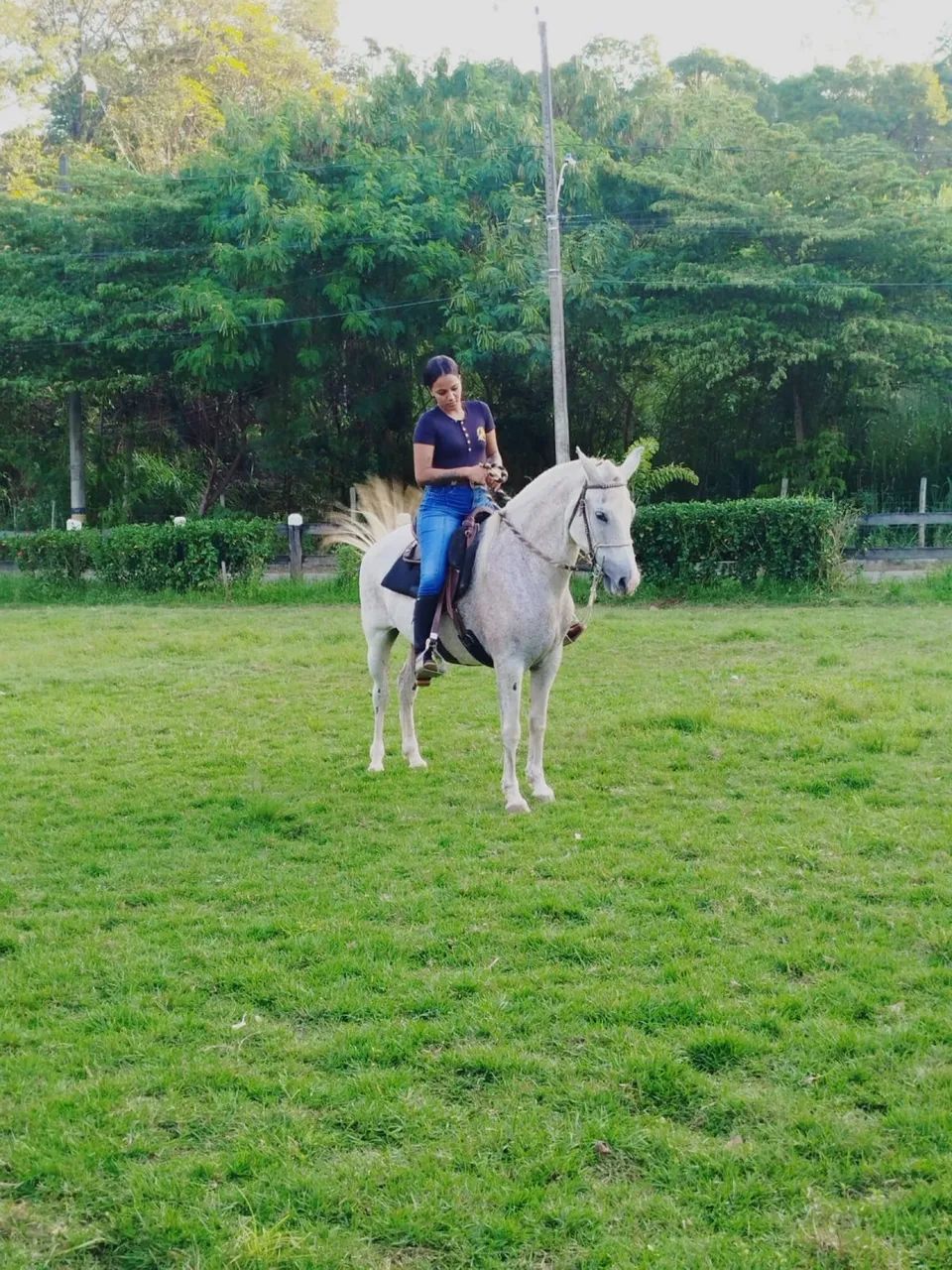 Vendo égua excelente na picada  - Foto 4