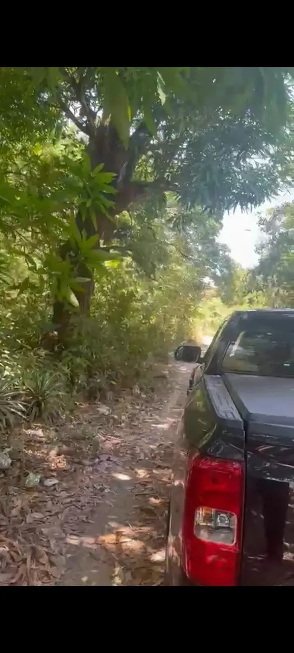 Vendo área no Pau deitado próximo são José de Ribamar