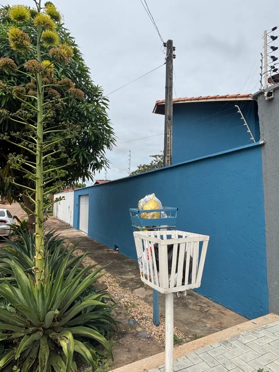 Aluguel de casa