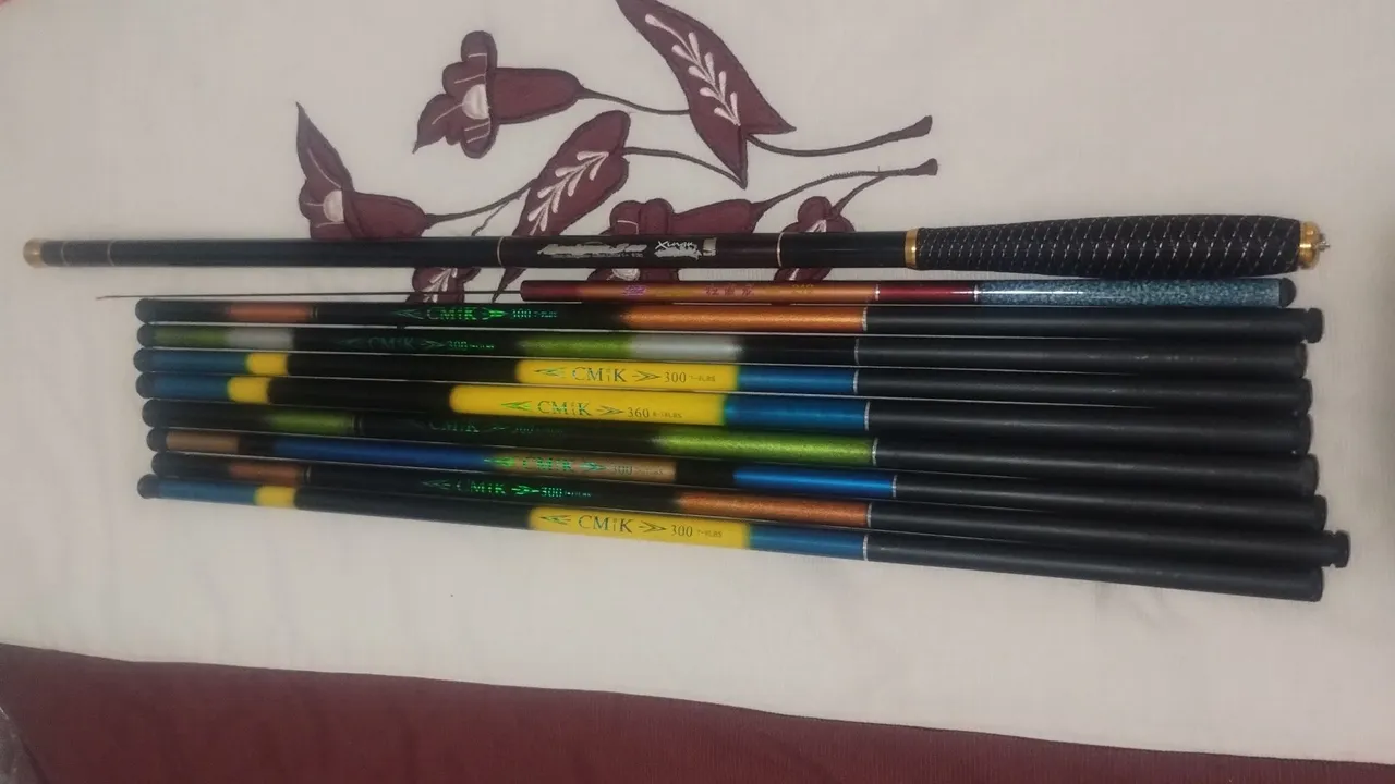 Varas de pesca e suporte