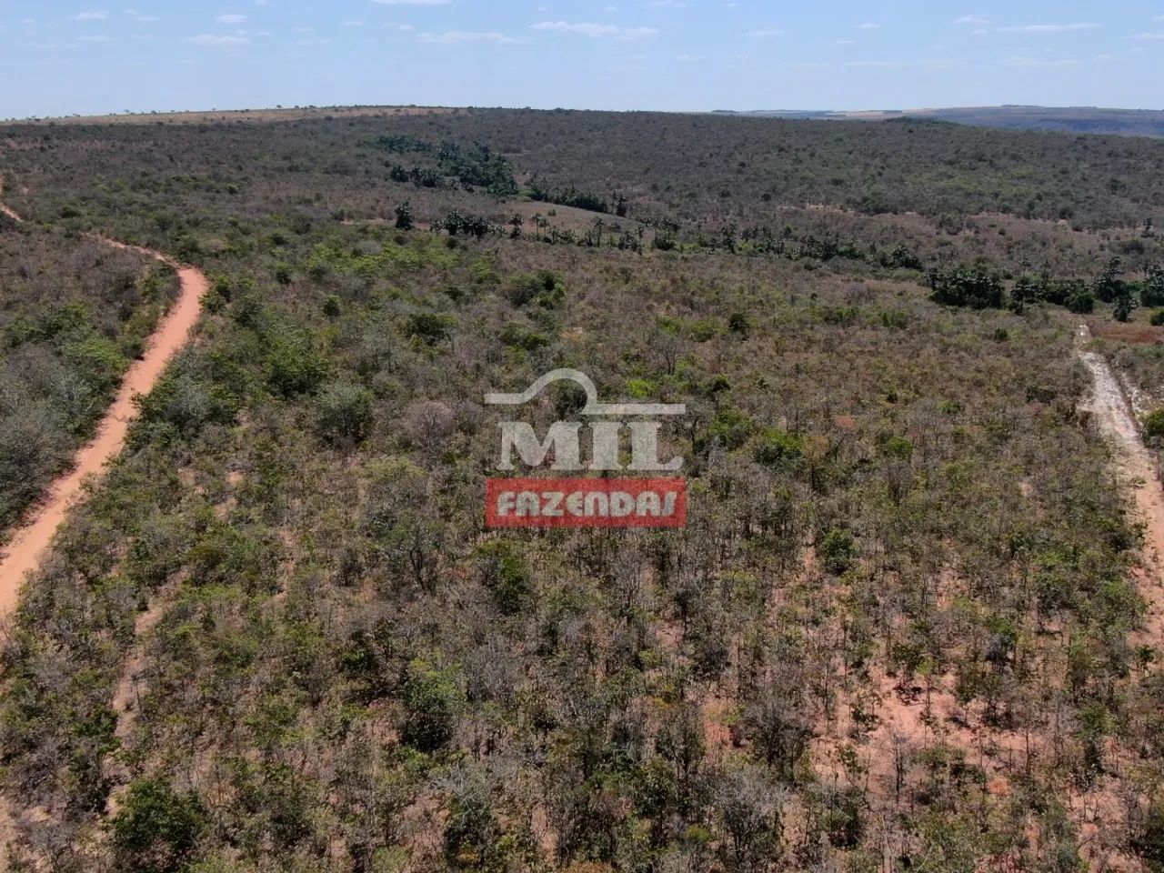 Arrendamento para Lavoura Torixoréu-MT / 1.700 hectares (plantio de soja) - Foto 4