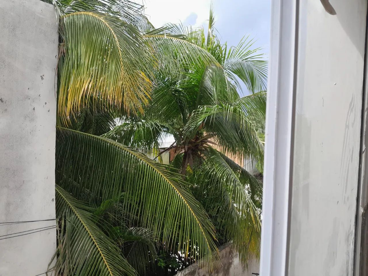 Porto de Sauipe QUARTO -SALA  avenida principal  - Foto 4