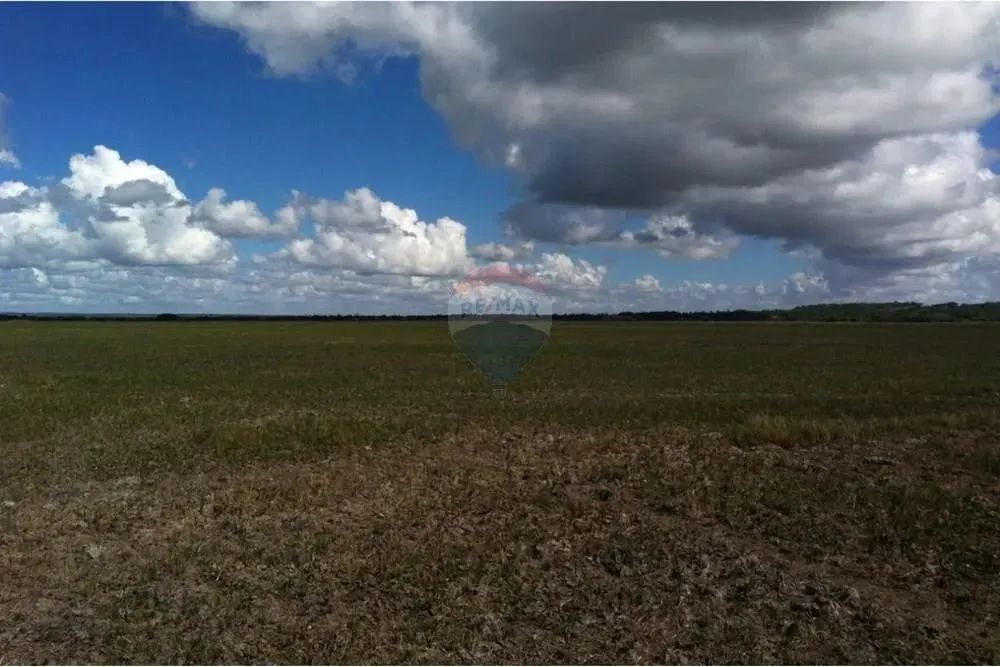 TERRENO (Fazenda em Piaçabuçu, AL - 687 ha) - Foto 12