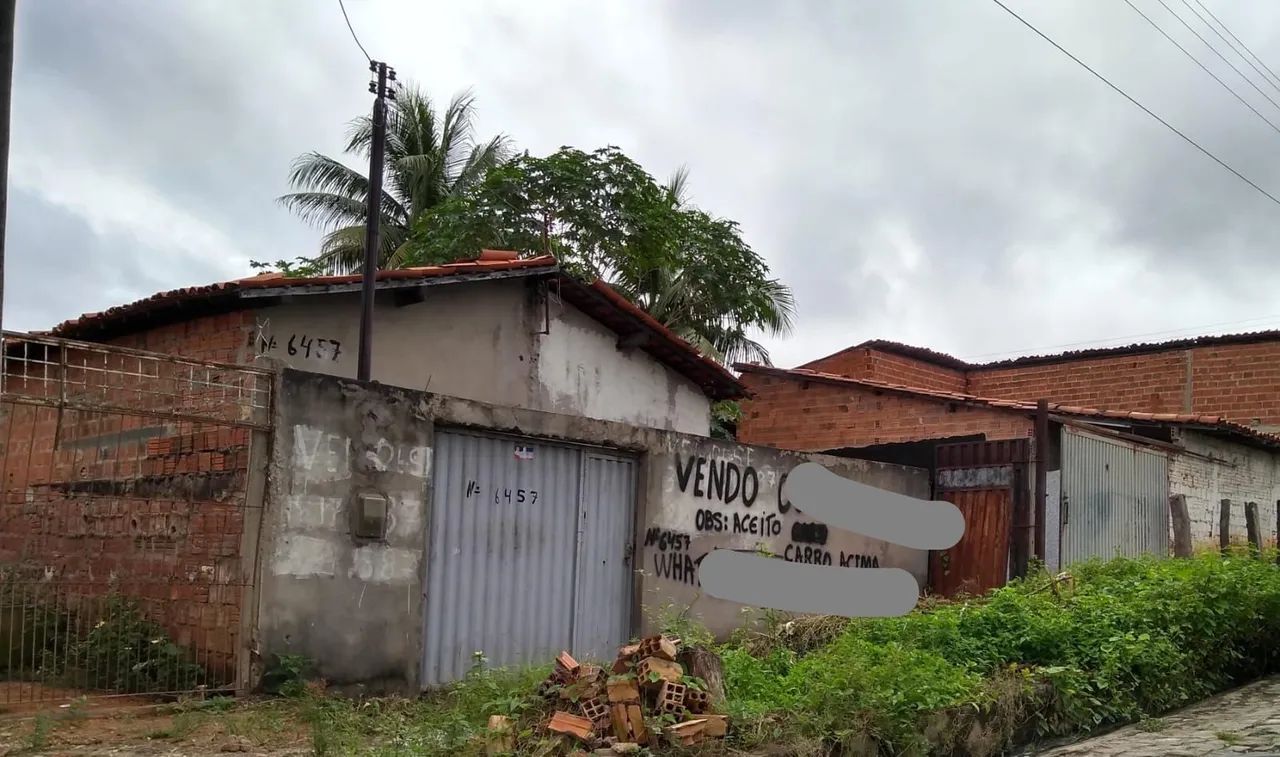 Foto - Teresina - Parque Ideal