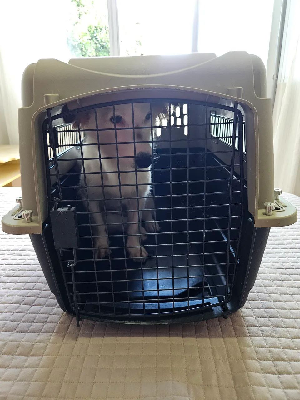 Caixa de Transporte Vari-Kennel Ultra - Segurança e Conforto para Seu Cão!