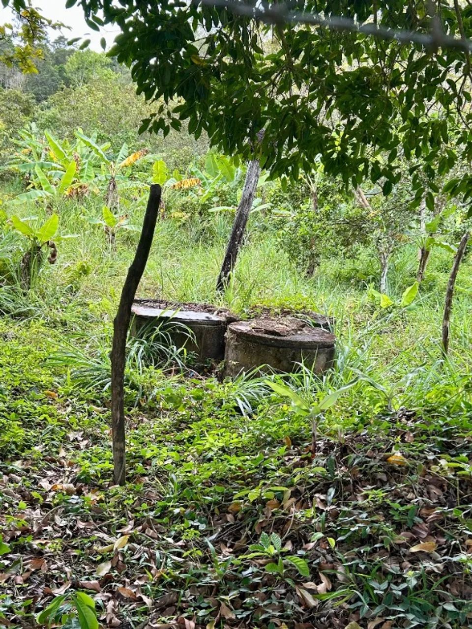 Terreno em Guaramiranga - Foto 3