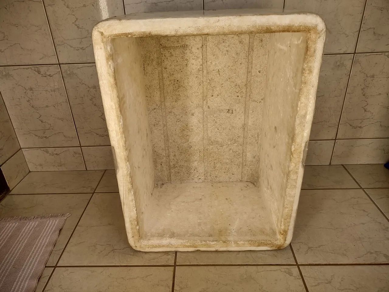 Caixa Térmica de Isopor para Camping - Foto 4