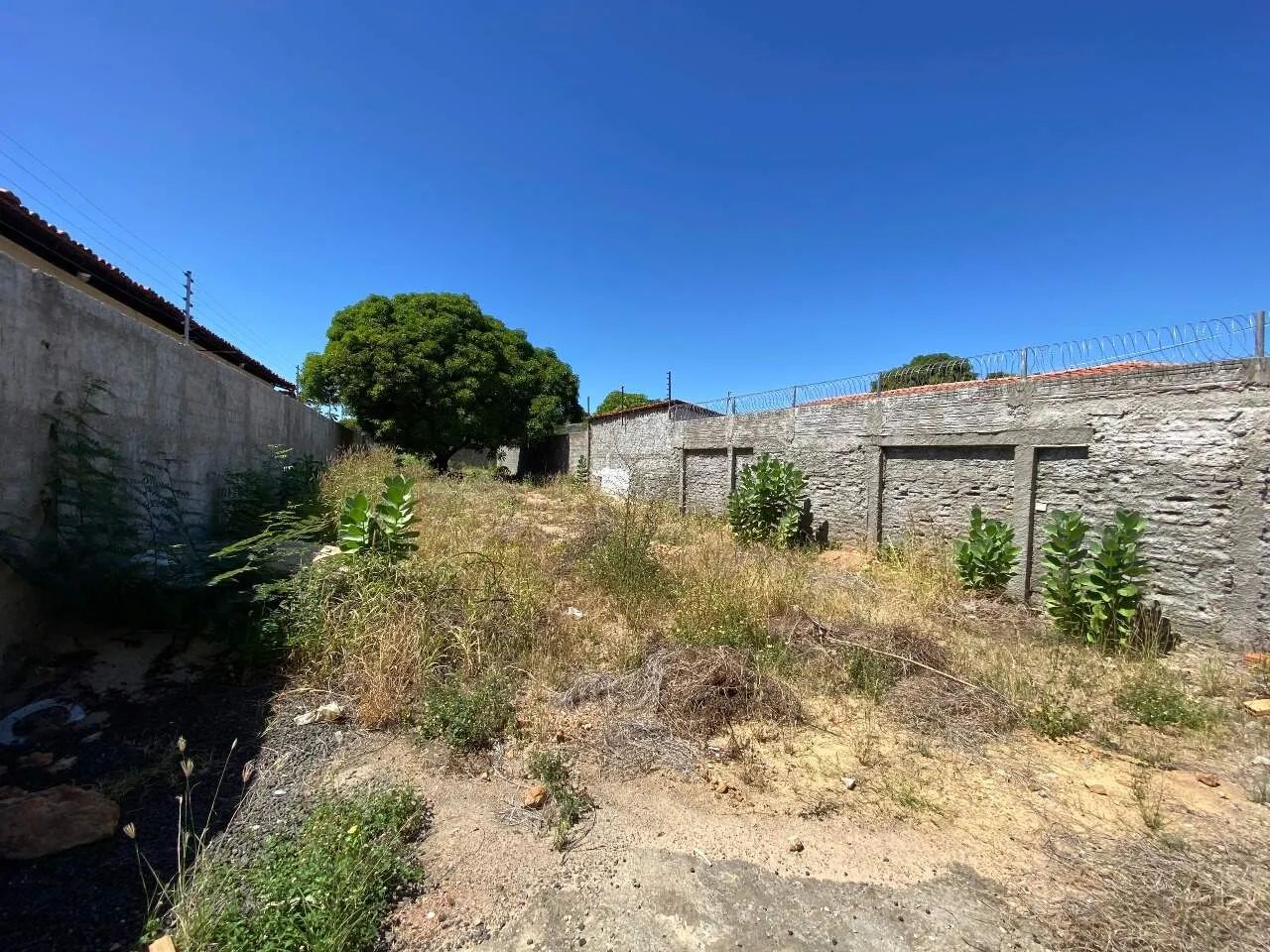Terreno - Aluguel - Foto 2