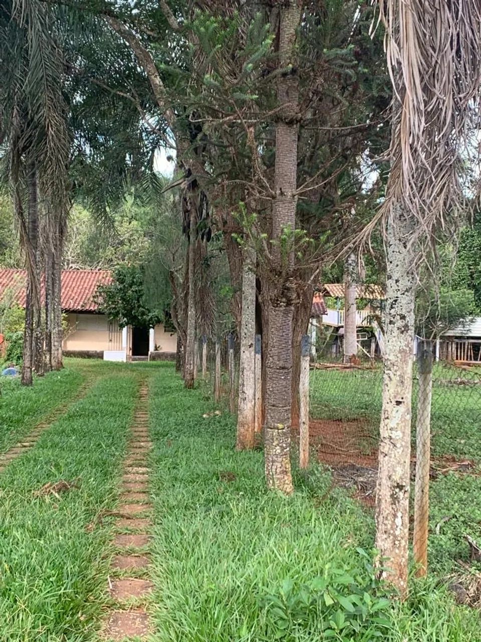 Chácara em Bela Vista de Goiás - Foto 2